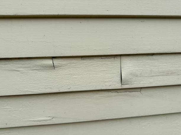 Best Property Management Cleanouts  in St Rose, LA
